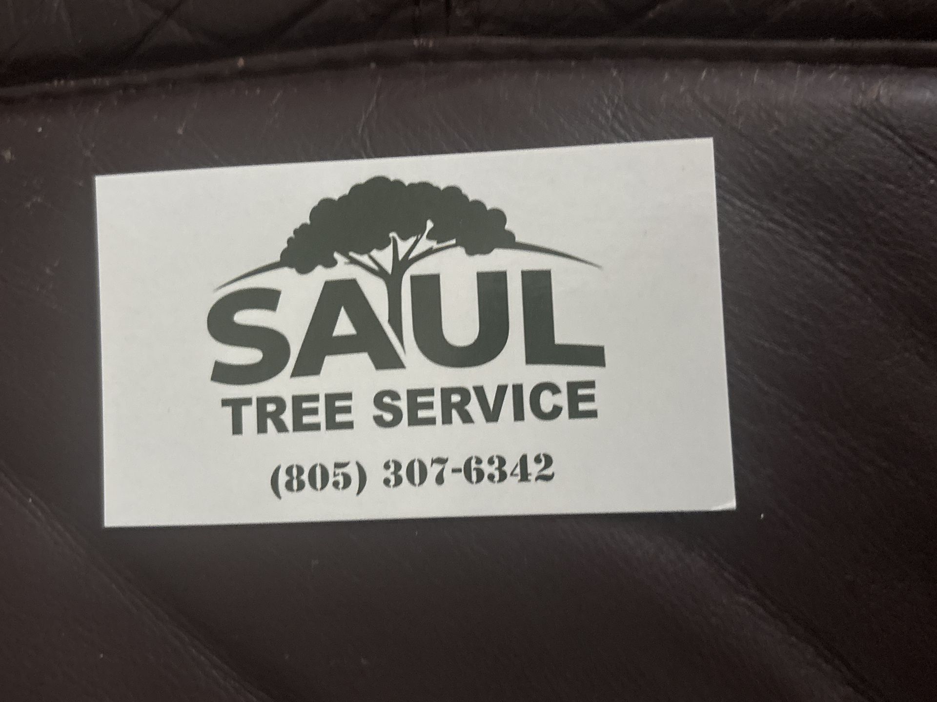 Saul Tree Service logo