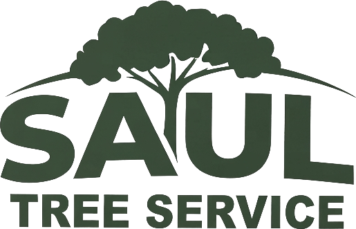 Saul Tree Service logo